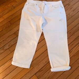 Loft 14 distressed white pant